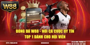 Bóng đá W88