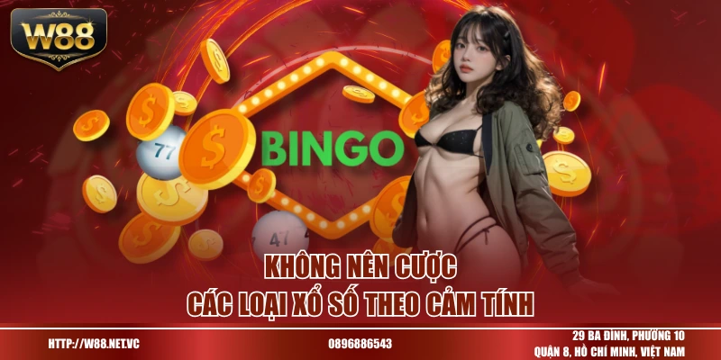 Không nên cược các loại xổ số theo cảm tính