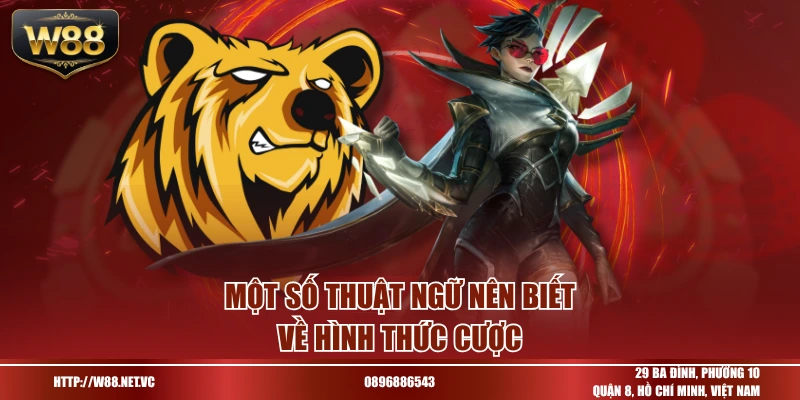 Một số thuật ngữ nên biết về hình thức cược