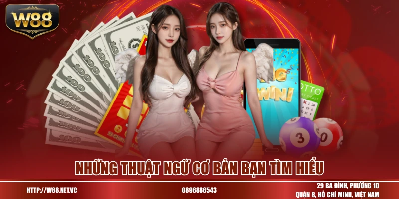 Những thuật ngữ cơ bản bạn tìm hiểu