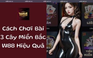 bai 3 cay w88
