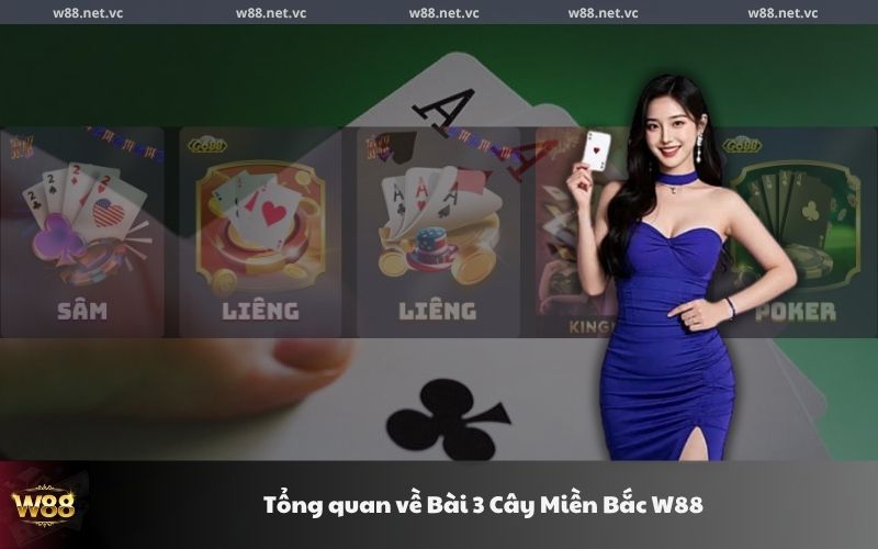 Tổng quan về Bài 3 Cây Miền Bắc W88