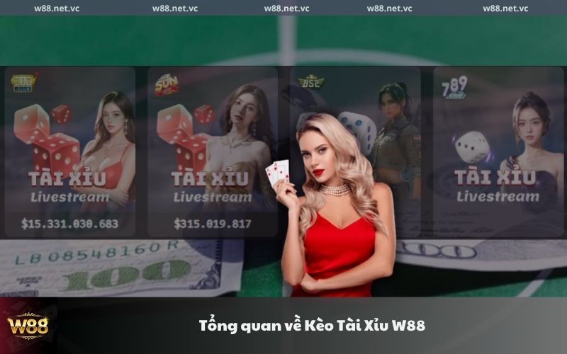 tong quan ve keo tai xiu w88